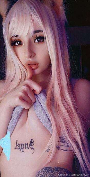 Cata leyah image