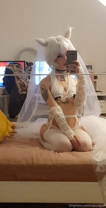 Cata leyah image