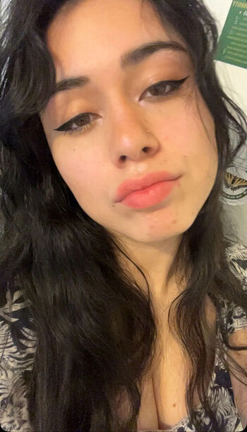 Catphia image