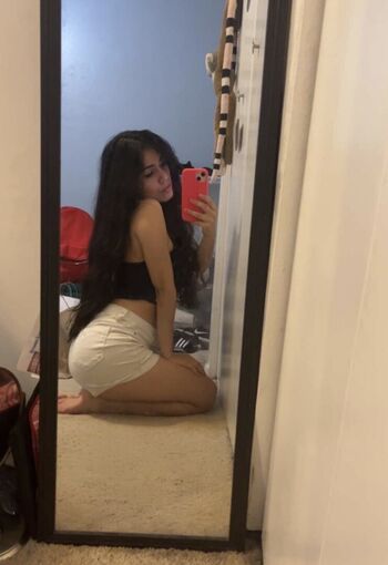 Catphia image