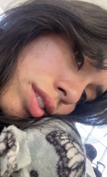 Catphia image