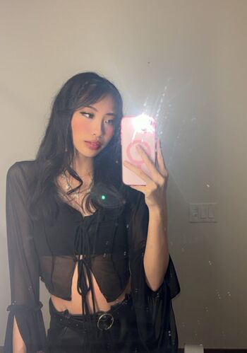 Cecefps page 4 image