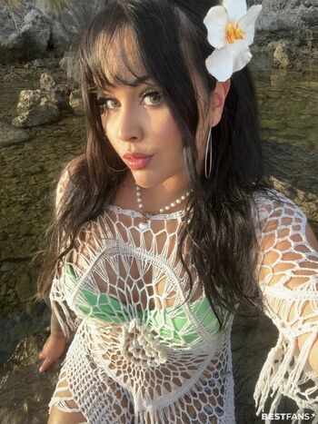 Celina x31 1 page 3 image