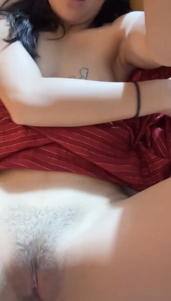 Cervantes solis page 2 image