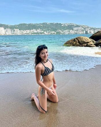 Cervantes solis image