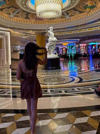 Cervantes solis image