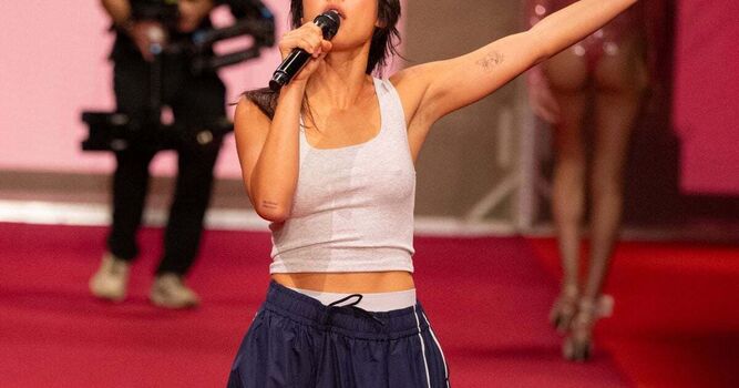 Chanteuse image
