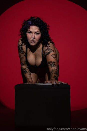 Charli evans 1 page 2 image