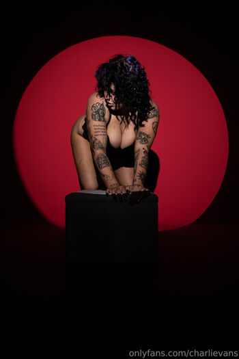 Charli evans 1 image