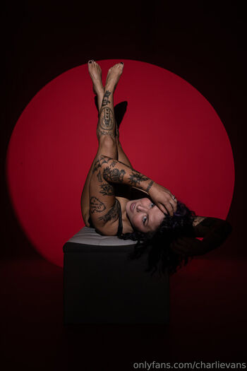 Charli evans 1 image