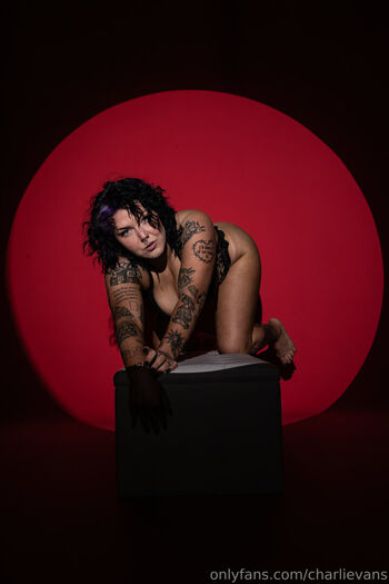 Charli evans 1 image