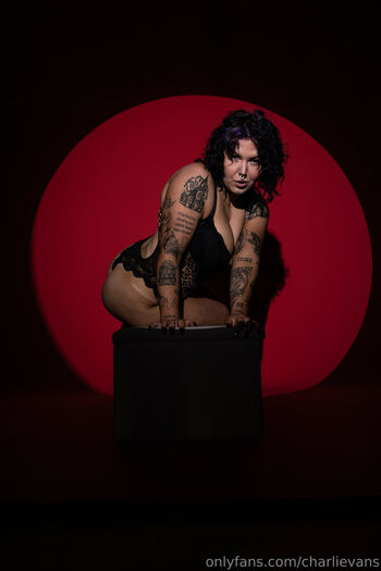 Charli evans 1 image