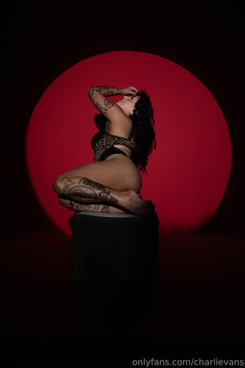 Charli evans 1 image