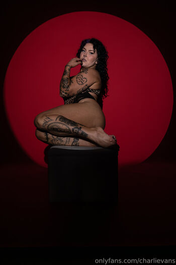 Charli evans 1 image