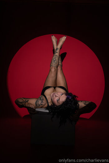 Charli evans 1 image