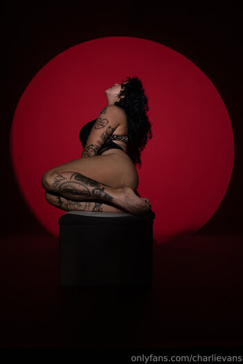 Charli evans 1 image