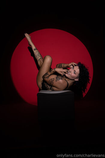 Charli evans 1 image