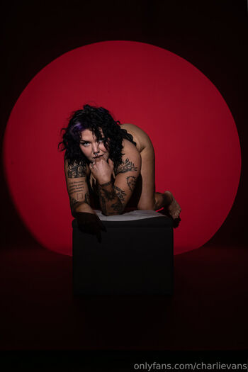 Charli evans 1 image