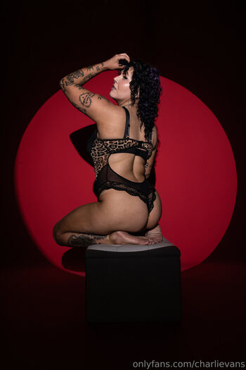 Charli evans 1 image