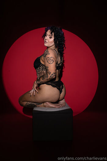 Charli evans 1 image