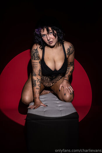 Charli evans 1 image