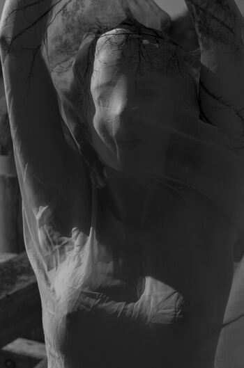 Charli r holland image