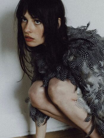 Charlotte rose image