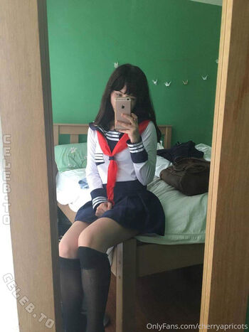 Cherryapricots image