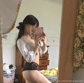 Cherryapricots image