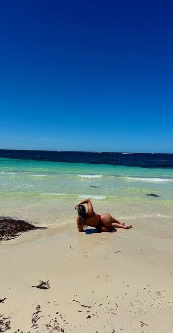 Chihuahua mami image