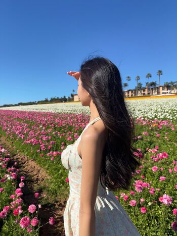 Cindy phan image