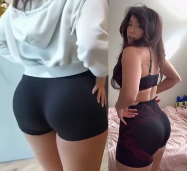 Cinnabrit 1 image