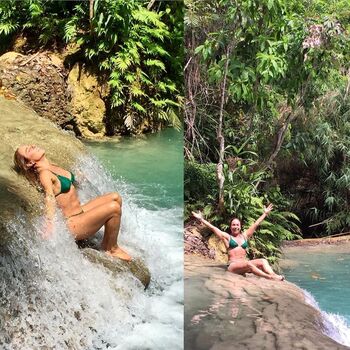 Cissa guimares image