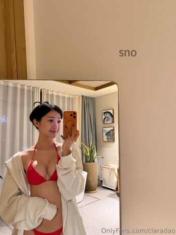 Clara dao page 4 image