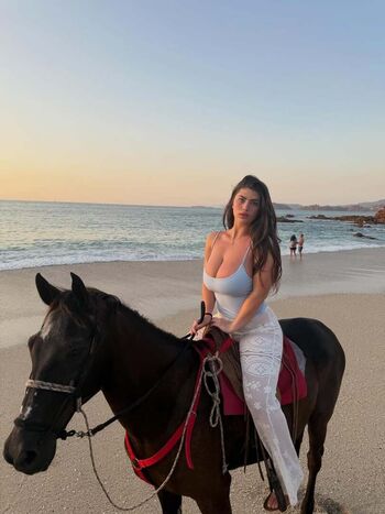 Colleen sheehan 1 page 4 image