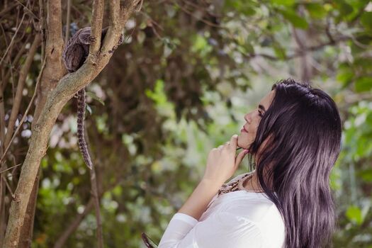 Combustível Sem Imposto