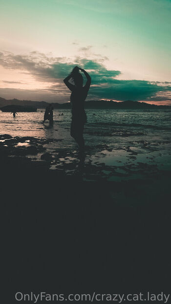 crazy.cat.lady