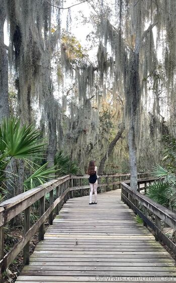 Crrofficial page 2 image