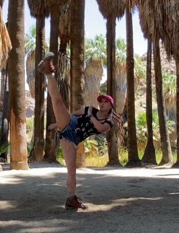 Cynthia rothrock image