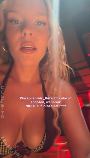 Dagi bee 1 image