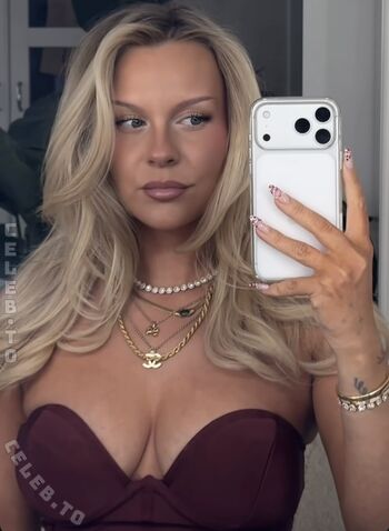 Dagi bee 1 image