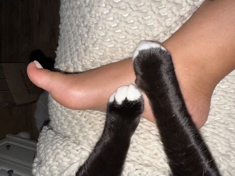 Dahnikz page 10 image