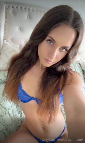 daisypheonix
