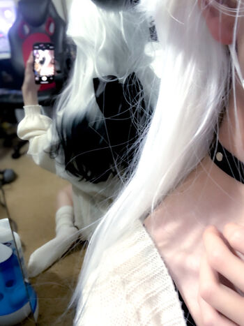 Dallcos image