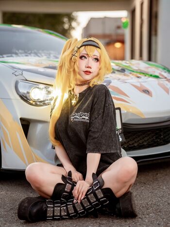 Danisaurz image