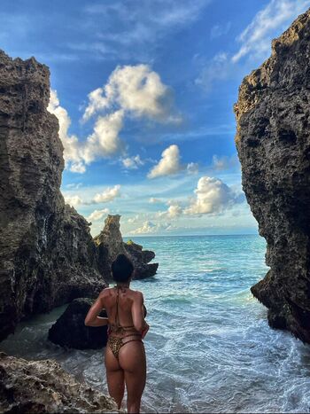 Danna minodora image