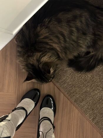 Daturakisses page 2 image