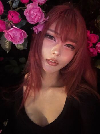 Daturakisses image