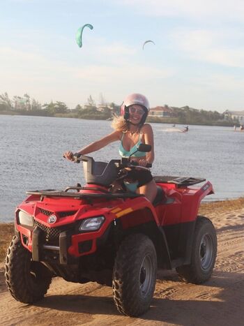 Debby lagranha image