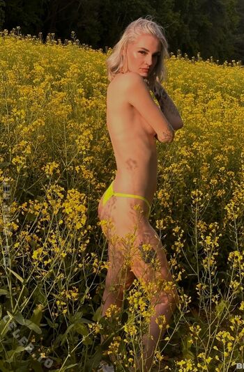 Denise kreibich image